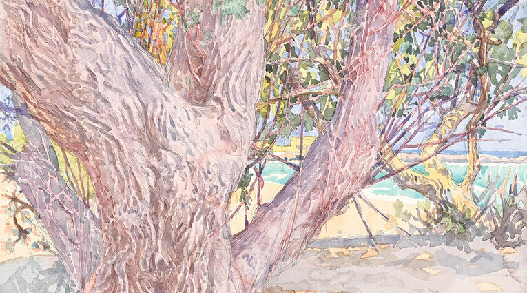 Δημήτρης Κατσιγιάννης: διάΚΟΣΜΟΙ en plein air