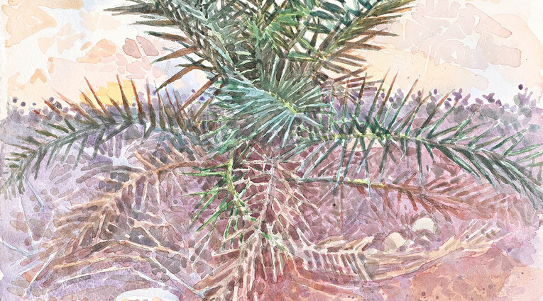 Δημήτρης Κατσιγιάννης: διάΚΟΣΜΟΙ en plein air