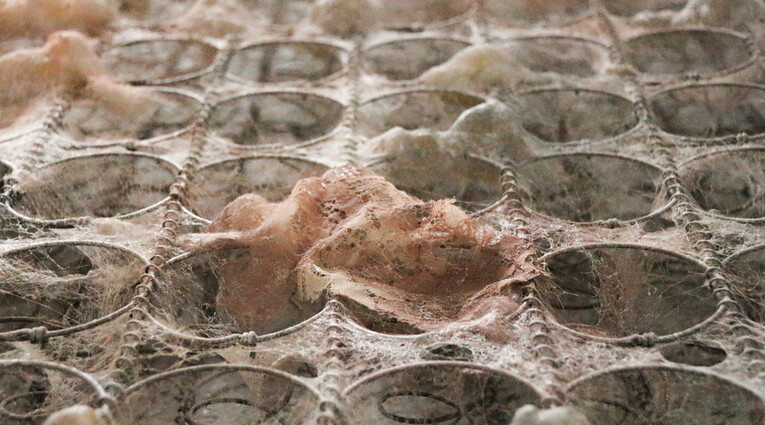 Δανάη Τσολάκη: Fragments of a Dollhouse