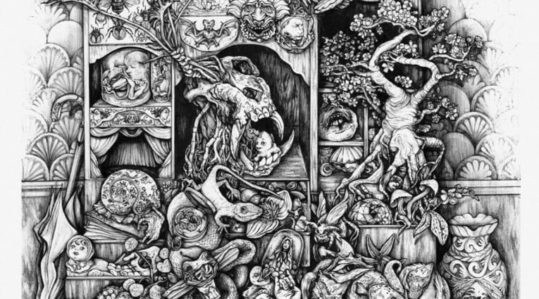 Α Cabinet of Curiosities