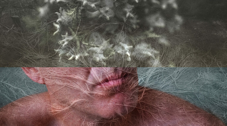ARC -Art Revisited Collective: Νέα Σύμβολα -Ikigai