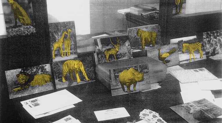 Why Look at Animals? Δικαιοσύνη για τη μη ανθρώπινη ζωή 