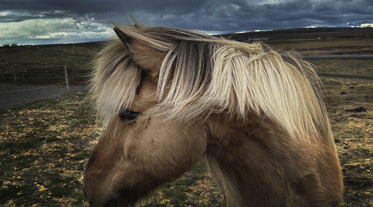 Διαδρομές “my Iceland”