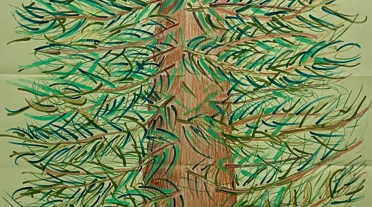 Χριστίνα Μήτρεντσε: The Wood Wide Web
