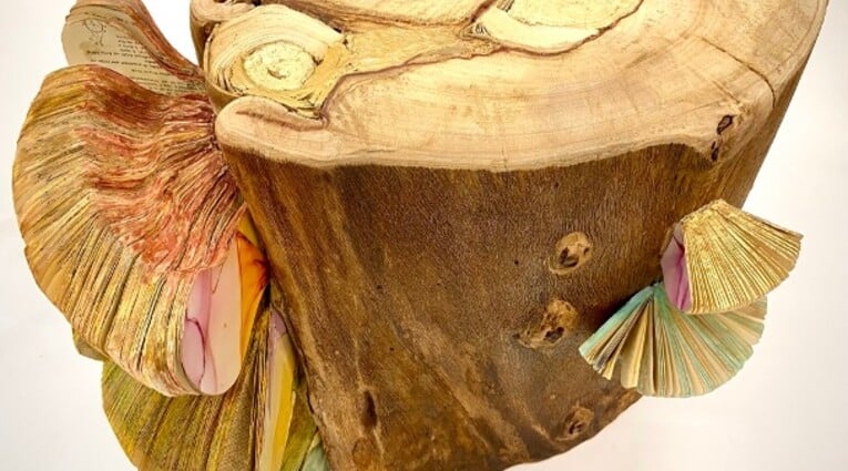 Χριστίνα Μήτρεντσε: The Wood Wide Web
