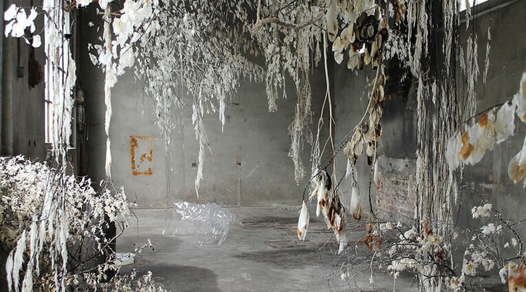 Purposeful, Evolutionary, Transformation: Κυριακή Γονή, Lucie Payoux, Luca Vanello