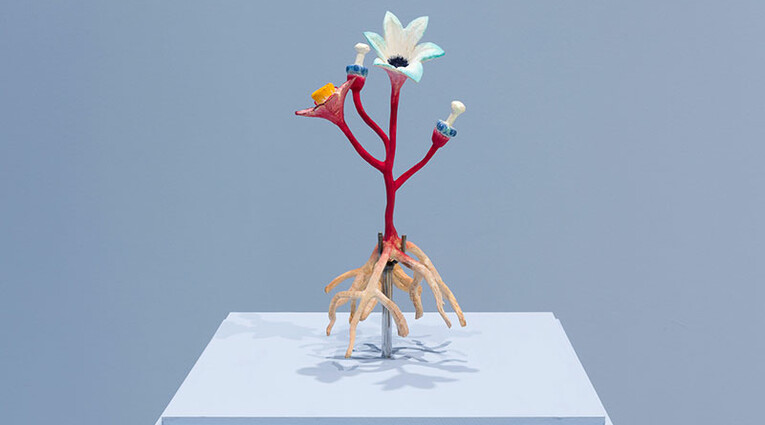 Purposeful, Evolutionary, Transformation: Κυριακή Γονή, Lucie Payoux, Luca Vanello