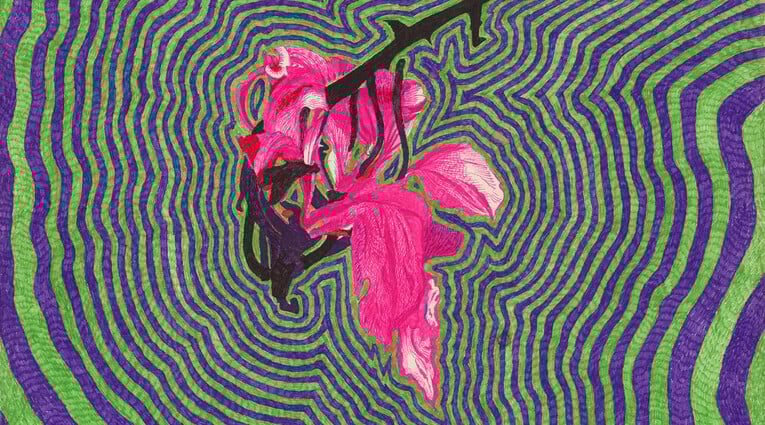 Joulia Strauss: Eudaimonia. Living in Bliss Today