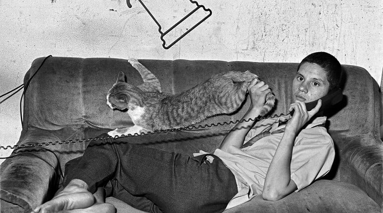 Roger Ballen: Shadows of the Mind 