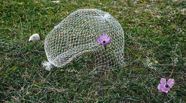 Κωνσταντίνος Πάτσιος & Μάριος Φούρναρης: Nature inside the walls