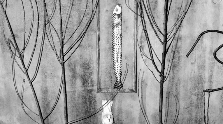Roger Ballen: Shadows of the Mind 