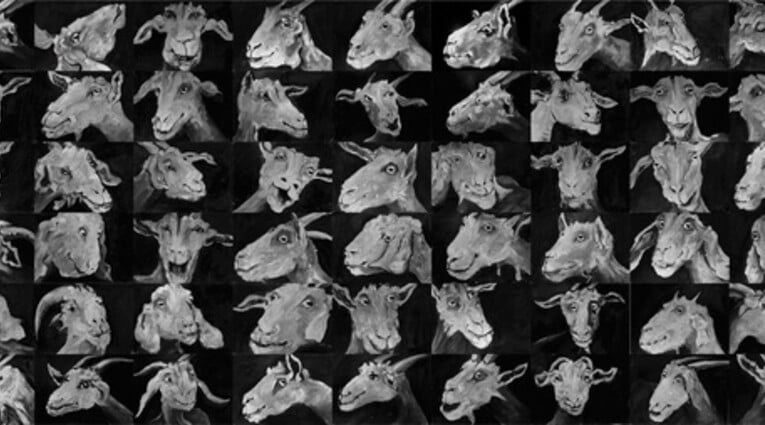 Γιάννης Τζερμιάς: Οιδίπους - Εικόνες μετά την τύφλωση, τριλογία 2008-2025 & Το δαχτυλίδι στον βάλτο με τα νούφαρα