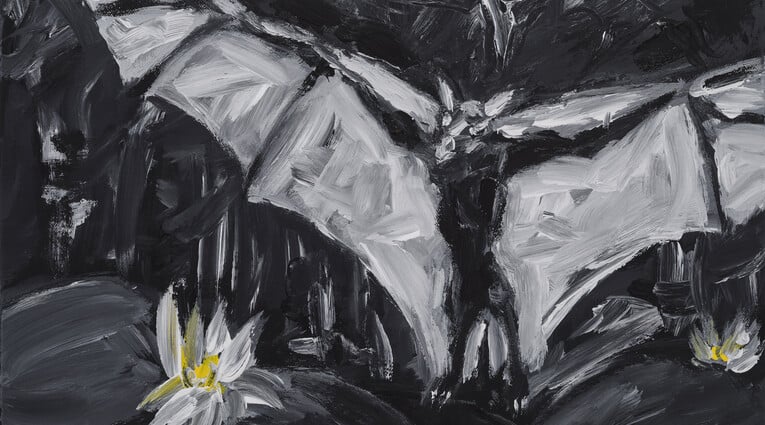 Γιάννης Τζερμιάς: Οιδίπους - Εικόνες μετά την τύφλωση, τριλογία 2008-2025 & Το δαχτυλίδι στον βάλτο με τα νούφαρα