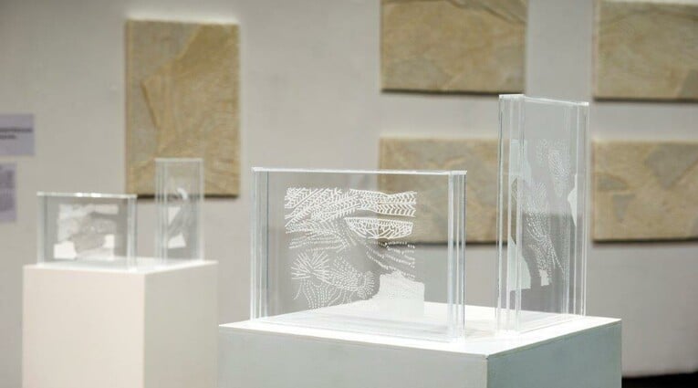 Προϊστορία ή Καταγωγή 