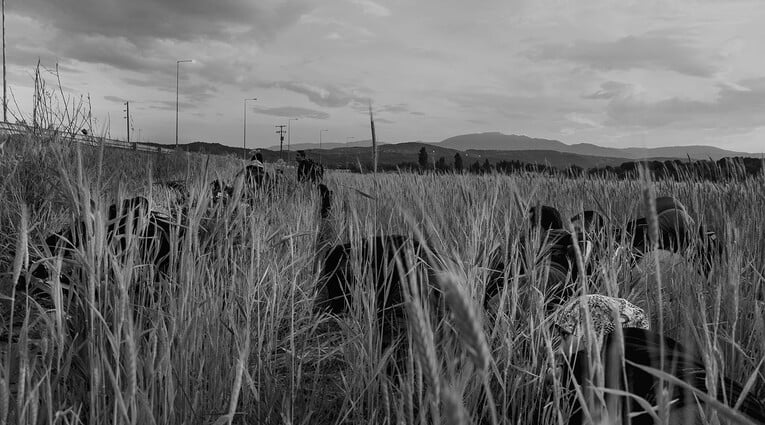 Enri Canaj: Say Goodbye Before You Leave