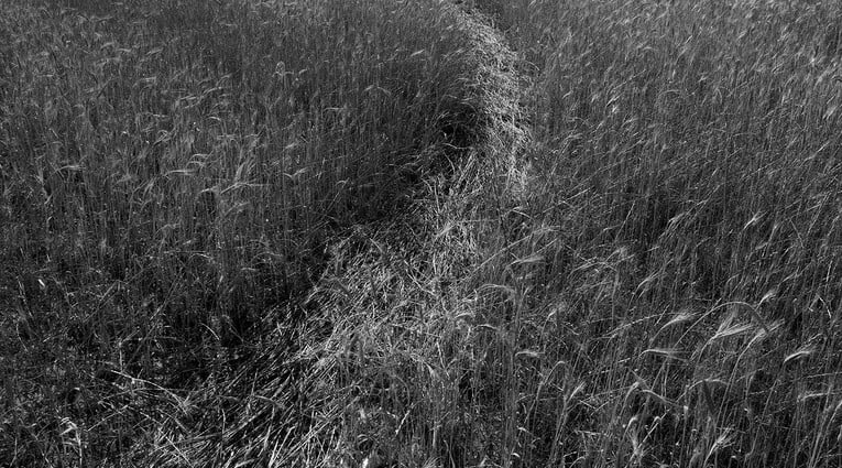 Enri Canaj: Say Goodbye Before You Leave