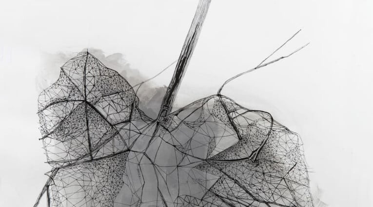 Βαρβάρα Σπυρούλη: Μετα-oμπρέλες