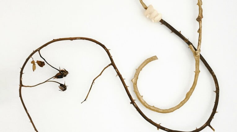 Ανδρέας Μαλλουρής: An Evening Botanist