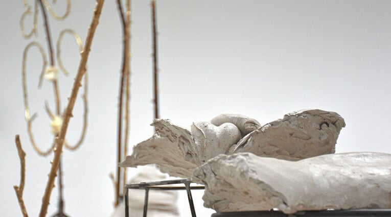 Ανδρέας Μαλλουρής: An Evening Botanist