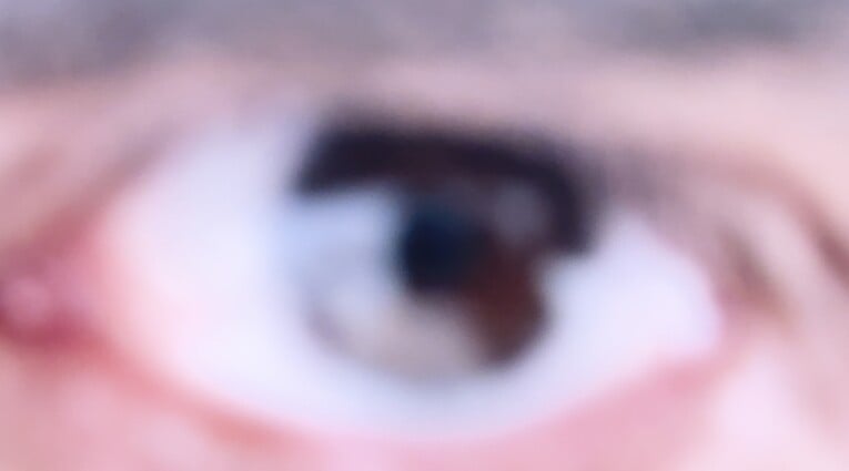 Ανδρέας Μαλλουρής: An Evening Botanist