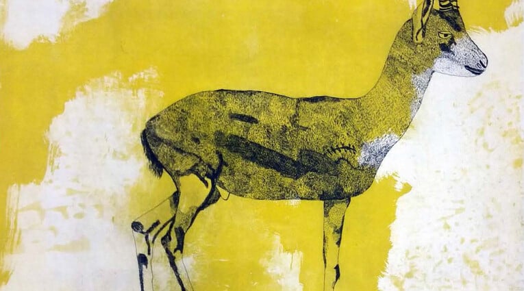 All Eyes on Palestine