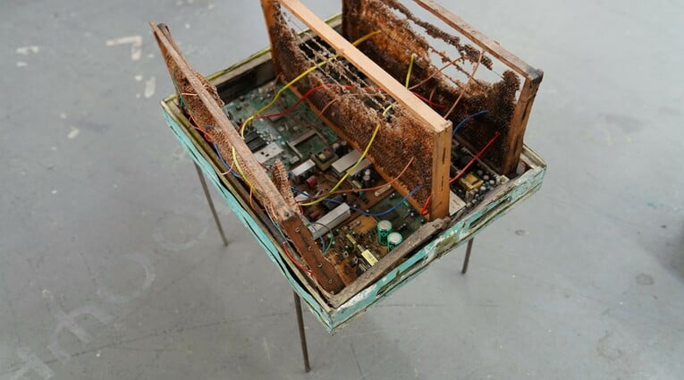 Ειρήνη Ταμπασούλη: Nidus