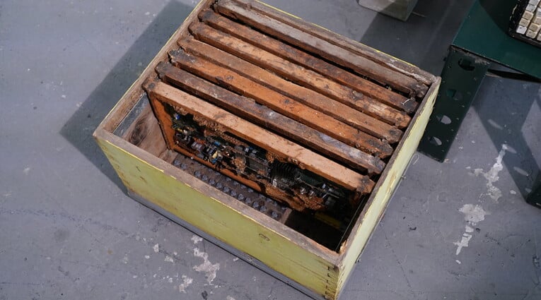 Ειρήνη Ταμπασούλη: Nidus