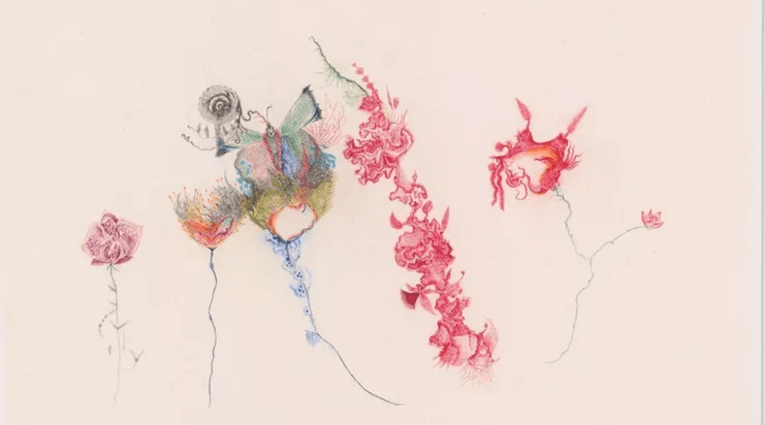 Βαλεντίνα Μπαρτολίνι: Belly of the Fish