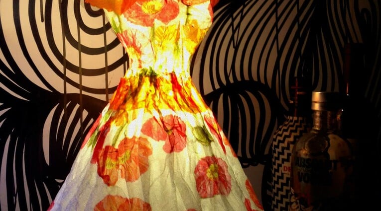 Δήμητρα Παπαδημητροπούλου: Paper in Βloom