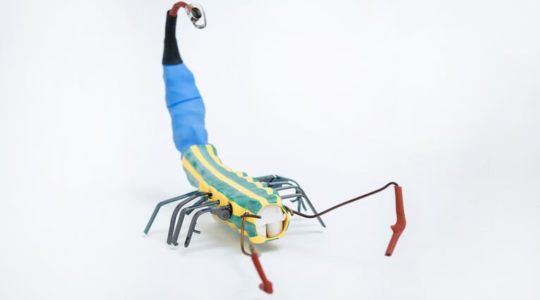 Θανάσης Μπίρλης: Δεύτερη Ζωή