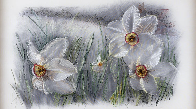 Φύσιν εποίησεν…