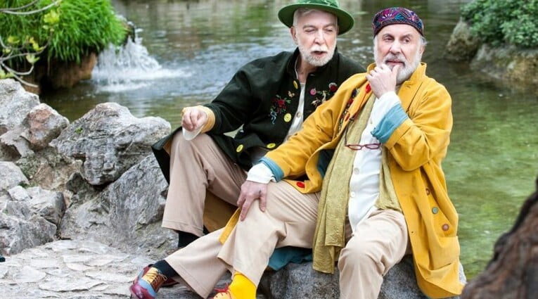 Παραλλαγές πάπιας 