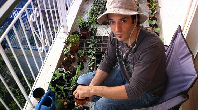 A seed for change