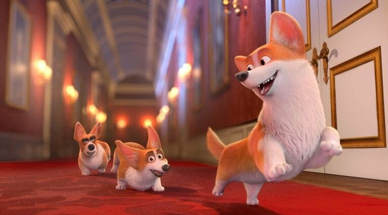 Corgi: Το σκυλάκι της βασίλισσας