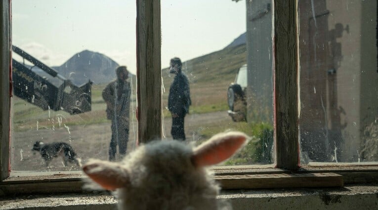 lamb