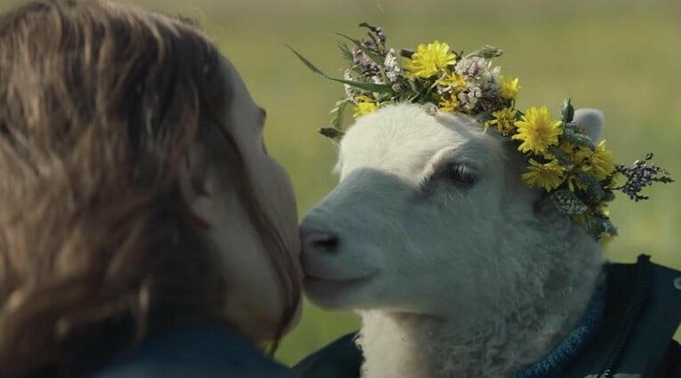 lamb