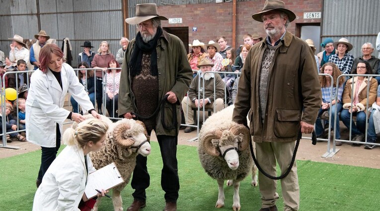 rams