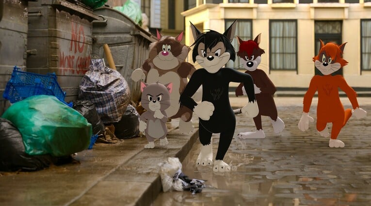 tomjerry