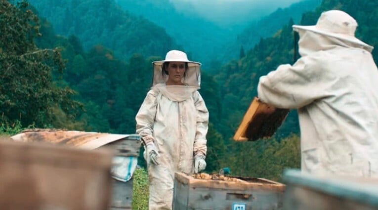 hive