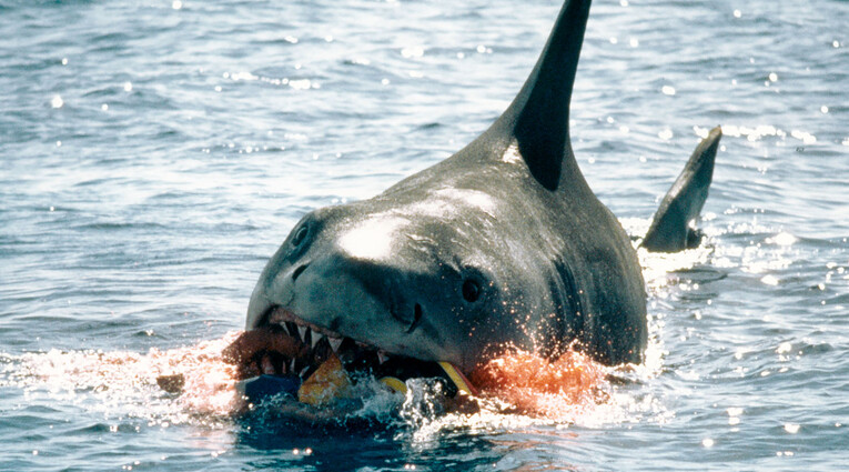 JAWS