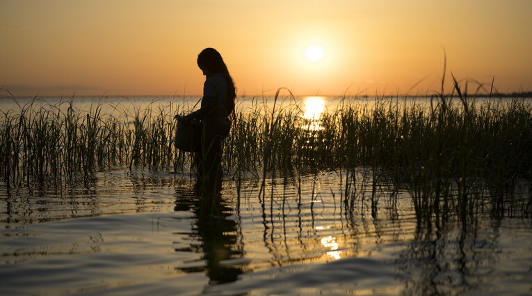 Where the crawdads sing