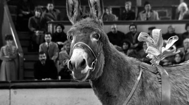Au Hasard Balthazar