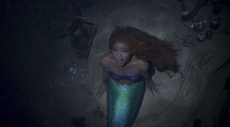 LITTLE MERMAID
