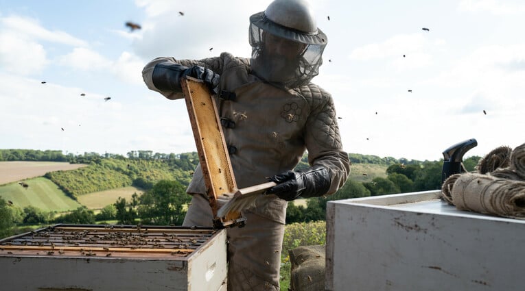 The Beekeeper 