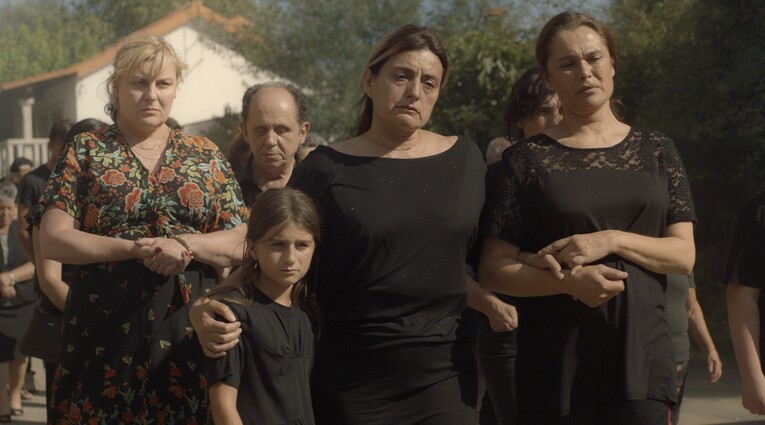alma viva