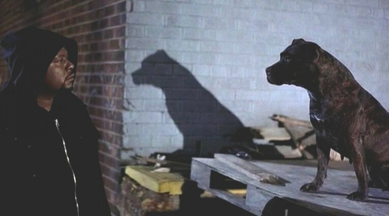 ghost dog