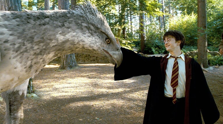 potter prisoner