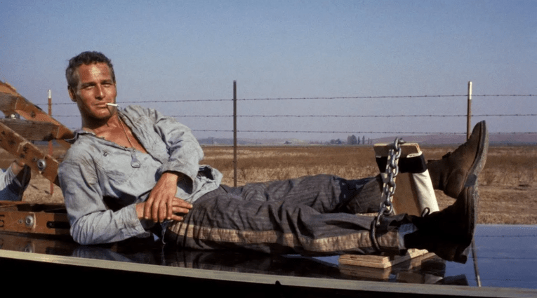 cool hand luke