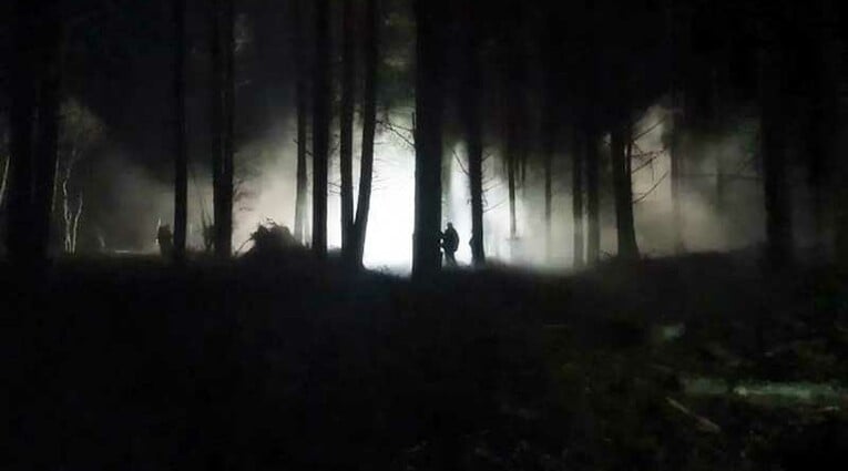 Bambi The Reckoning