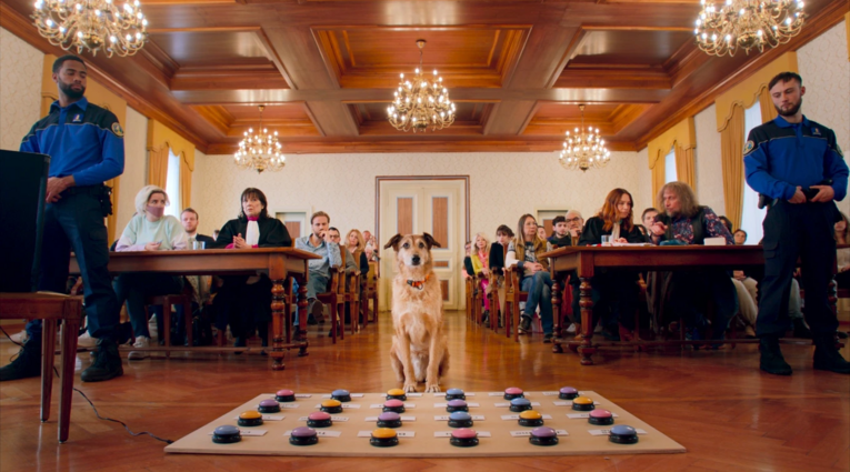 DOG TRIAL